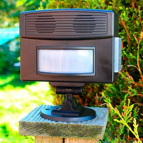 Outdoor pest repeller - outdoor,