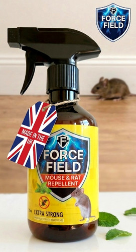 Mouse mice rat spider - mouse,