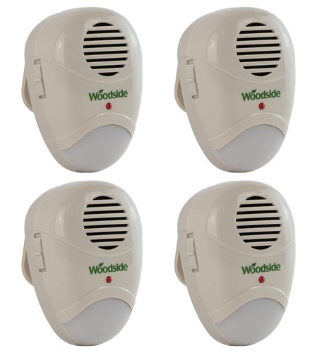 Plug mouse rat rodent - 4, plug-in