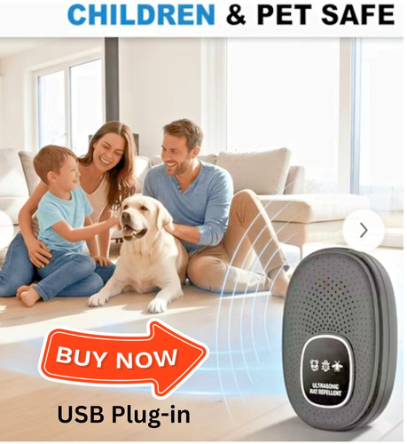 Usb plug in - 2,