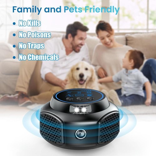 Pest rodent control - pest,