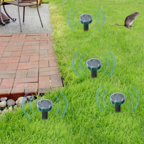 Outdoor ultrasonic rat - outdoor,